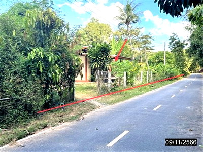 Houses for sale : FOR SALE  HOUSE PROPERTY  1141000 BAHT.