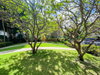 listing thumbnail image 23