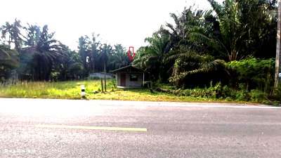 บ้านเดี่ยว กระบี่ : บ้านเดี่ยว 149.3 ตร.วา ปลายพระยา กระบี่ 908,000