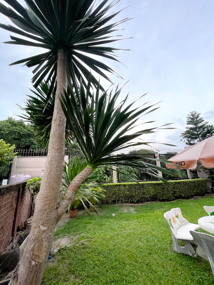 รูป [Agent Post] ส่งต่อ บ้านแห่งความสุข บ้านเดี่ยว โครงการภัสสร เพรสทีจ ลุกซ์ พัฒนาการ 44  - รูปที่ 65/79