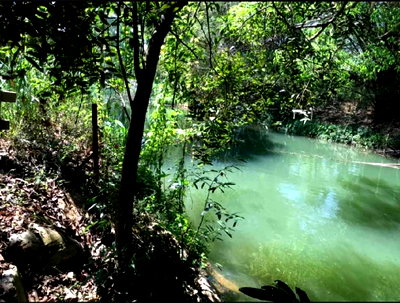 ที่ดิน นครราชสีมา (โคราช) : ขายที่เขาใหญ่ติดน้ำลำตะคอง 1 ไร่ ใกล้ธนะรัชต์2.5 กม. ที่ริมน้ำสวยมาก หน้ากว้าง น้ำไฟพร้อม ในโครงการ ปากช่อง หนองน้ำแดง ใกล้ธนะรัชต์  มอเตอร์เวย์ M6