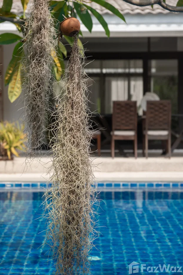 รูป วิลล่าให้เช่า 3 ห้องนอน ในโครงการ บ่อผุด เรสซิเดนซ์ 6181046 - รูปที่ 41/51