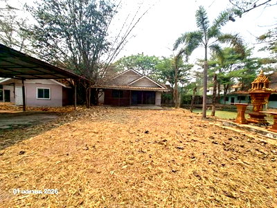 บ้านเดี่ยว เชียงใหม่ : บ้านเดี่ยว 800 ตร.วา สันกำแพง เชียงใหม่ 4.9M