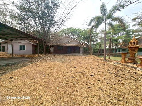 บ้านเดี่ยว 800 ตร.วา สันกำแพง เชียงใหม่ 6.7M