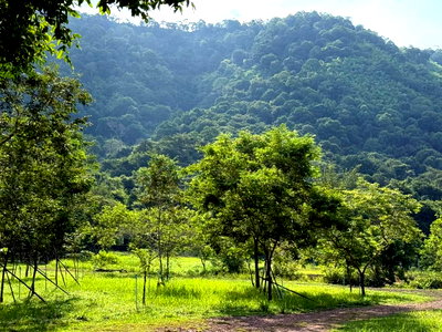 ขายที่ดิน : ขายที่เขาใหญ่ 37 ไร่ ที่ติดเขาติดน้ำ เนินหอม เมืองปราจีนบุรี ที่สวยมาก มีแหล่งน้ำธรรมชาติ อยู่ใกล้ทางขึ้นอุทยานเขาใหญ่ ฝั่งปราจีน ด่วน ที่สวย ขายถูก
