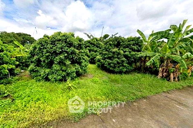 ที่ดิน สำนักงานขนส่งจังหวัดเชียงใหม่ : ขายที่ดิน 395 ตร.ม. ในย่านเมืองเก่าเชียงใหม่ ศรีภูมิ เมืองเชียงใหม่ (ID 2923384)