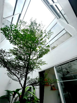 ขายบ้านแฝด : 🏡 ขายบ้าน ทาวน์โฮม 3 ชั้น สไตล์มินิมอล วิวทุ่งนา ในโครงการคุณภาพ สิ่งแวดล้อมและทำเลดี เดินทางสะดวก📍พิกัด : หมู่บ้าน Monotown 3 สันผีเสื้อ เชียงใหม่