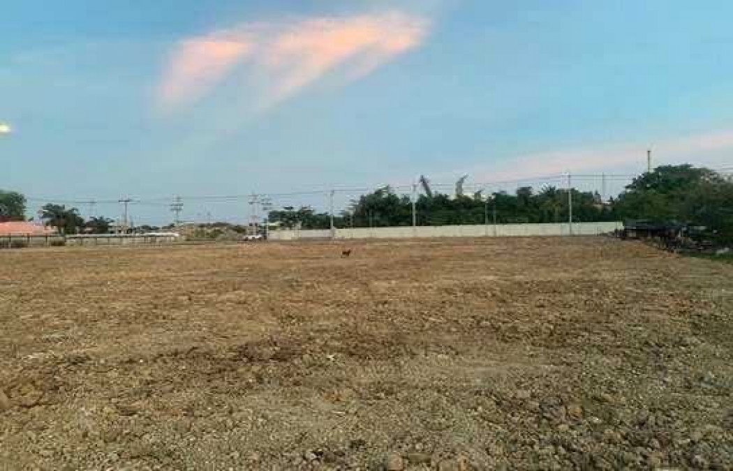 รูป ขายที่ดิน 5 ไร่ ผังม่วงลาย โซนอุตสาหกรรมสมุทรปราการ พร้อมสร้างโรงงาน-โกดัง - รูปที่ 1/3