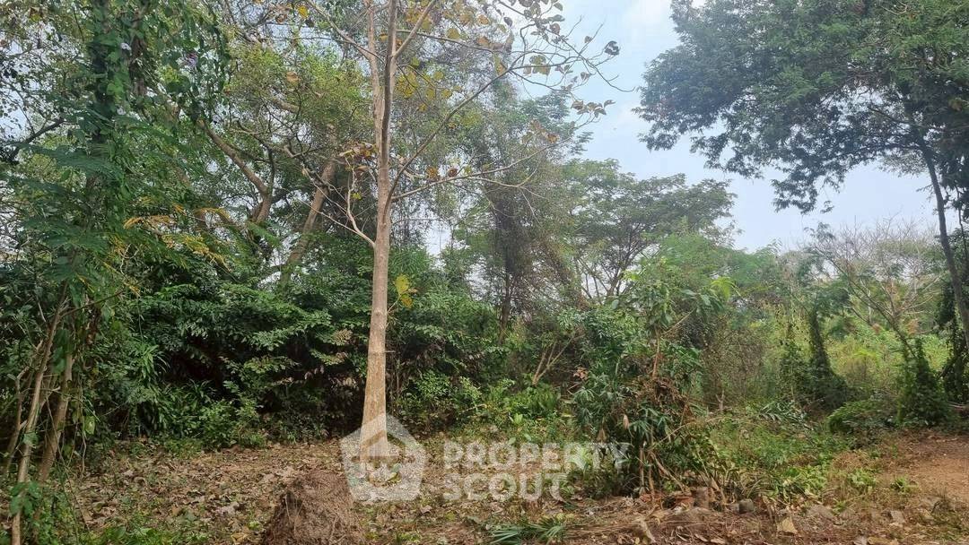 รูป ที่ดินขาย ในช้างเผือก เมืองเชียงใหม่ เชียงใหม่ (ID 2920654) - รูปที่ 8/8