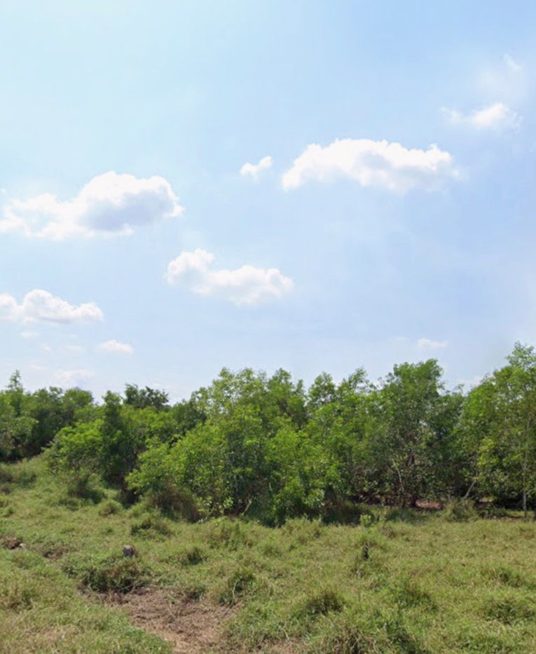 รูป ขายที่ดินเปล่า หนองจอก 1 ไร่ ซอยประชาสำราญ2 หนองจอกฝั่งเหนือ - รูปที่ 4/4
