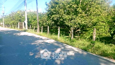 Land for sale U.S. Consulate General Chiang mai : Land For Sale 46.9 Sqm CentralFestival Chiangmai, Fa Ham, Near Chiang Mai (ID 2929677)