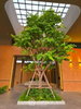 listing thumbnail image 4