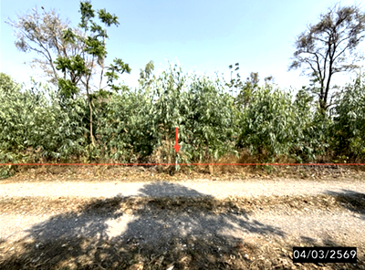 ที่ดิน ขอนแก่น : ที่ดินว่างเปล่า 1860 ตร.วา พล ขอนแก่น 1.3M