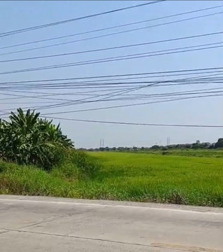 ขายที่ดิน 19 ไร่ 2 งาน 60 ตร.ว. ติดถนนเลียบคลอง 7 ลำลูกกา คูคต ปทุมธานี หน้ากว้าง 48 เมตร