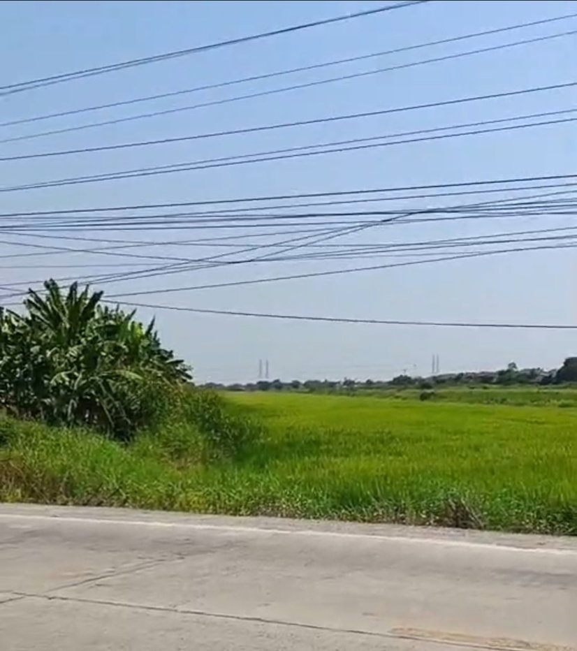รูป ขายที่ดิน 19 ไร่ 2 งาน 60 ตร.ว. ติดถนนเลียบคลอง 7 ลำลูกกา   คูคต  ปทุมธานี หน้ากว้าง  48 เมตร - รูปที่ 1/4