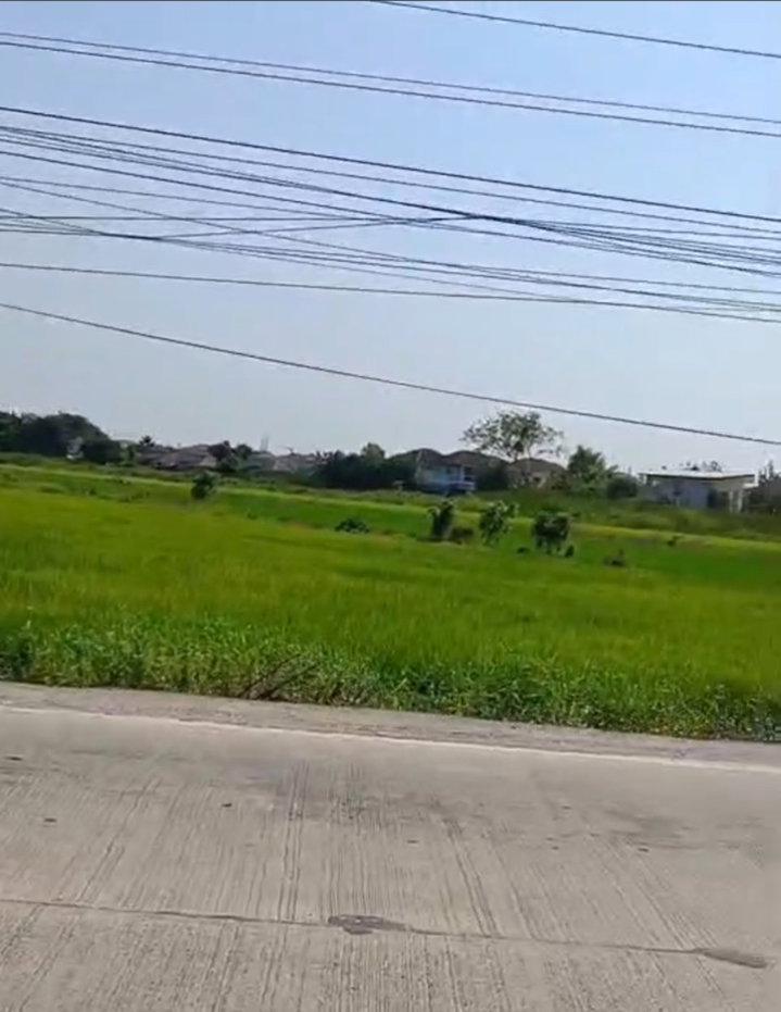 รูป ขายที่ดิน 19 ไร่ 2 งาน 60 ตร.ว. ติดถนนเลียบคลอง 7 ลำลูกกา   คูคต  ปทุมธานี หน้ากว้าง  48 เมตร - รูปที่ 2/4