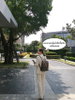 listing thumbnail image 34