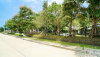 listing thumbnail image 19