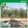 listing thumbnail image 12