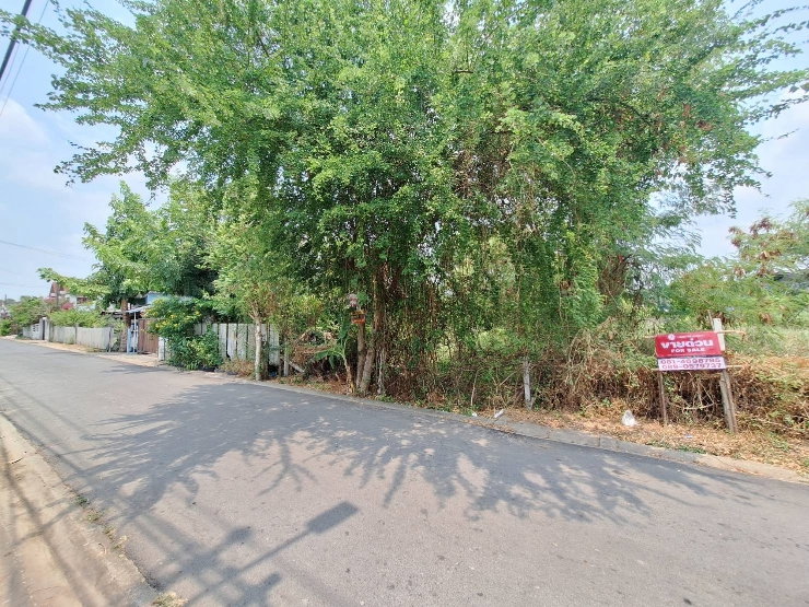 รูป ขายที่ดิน พหลโยธิน 54/1 ใกล้ BTS สะพานใหม่ เพียง 3.6 ล้าน | 109 ตร.ว. ถมแล้ว แปลงสวย 33,000/ตร. - รูปที่ 7/11