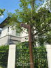 listing thumbnail image 7