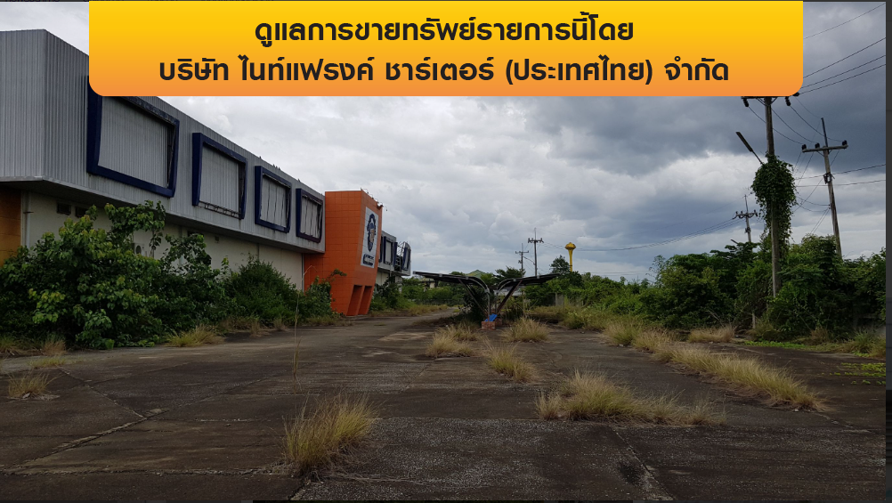 รูป โกดัง 8260.5 ตร.วา เมืองลำพูน เมืองลำพูน ลำพูน 114M - รูปที่ 23/30