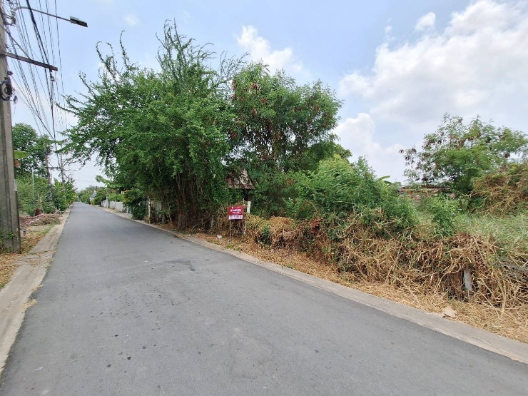 รูป ขายที่ดิน พหลโยธิน 54/1 ใกล้ BTS สะพานใหม่ เพียง 3.6 ล้าน | 109 ตร.ว. ถมแล้ว แปลงสวย 33,000/ตร. - รูปที่ 11/11