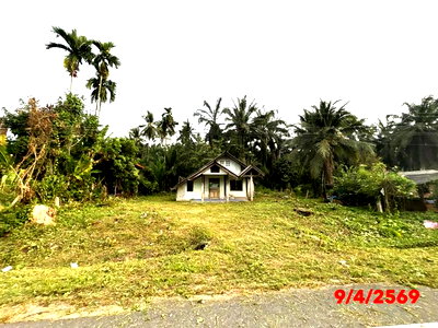 Houses for sale Surat Thani : HOME 265 Sq.w. Chaiburi Surat Thani for 1.7M