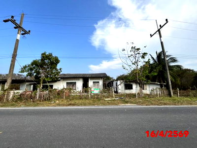 Houses for sale Surat Thani : HOME 4945 Sq.w. Kanchanadit Surat Thani for 2.3M