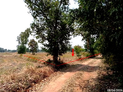 ที่ดิน นครราชสีมา (โคราช) : ที่ดินว่างเปล่า 2094 ตร.วา บัวลาย นครราชสีมา 1.5M