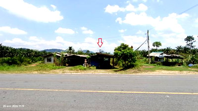 บ้านเดี่ยว กระบี่ : บ้านเดี่ยว 63 ตร.วา ลำทับ กระบี่ 524,000