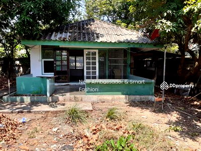 เช่าบ้านเดี่ยว ถนนสุขุมวิท : ให้เช่าบ้านเดี่ยวใกล้โรงเรียนนานาชาติ