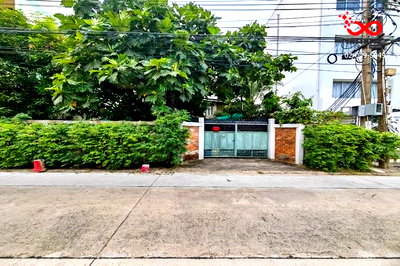 ที่ดิน ทาวน์ อิน ทาวน์ : ขายที่ดิน 99 ตร.ว.ซอยลาดพร้าว 110 แยก 2 ใกล้รถไฟฟ้า สายสีเหลือง