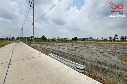 ขายที่ดิน 2 ไร่ คลอง 10 ลำลูกกา ปทุมธานี ติดถนน