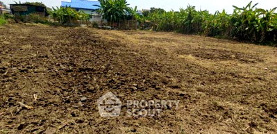 Land for sale Chiang Mai : Land For Sale 1,899 Sqm Ban Klang, San Pa Tong (Chiang Mai) (ID 2940259)