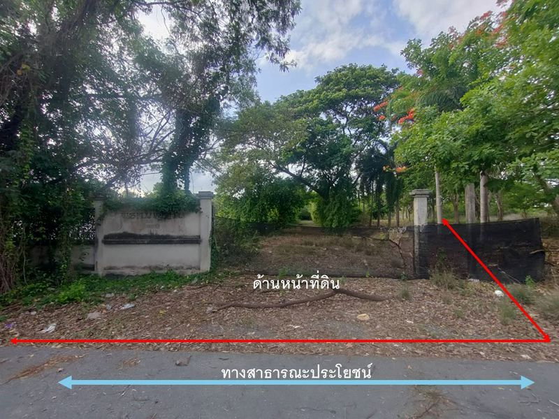 รูป ❤️💛 ขายที่ดิน 6 ไร่กว่า ย่านพุทธมณฑลสาย 2 ซอย 19 🚗เข้าซอยเพียง 1.7 กม. - รูปที่ 3/14