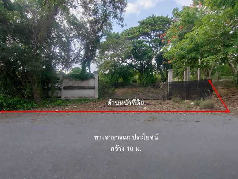 รูป ❤️💛 ขายที่ดิน 6 ไร่กว่า ย่านพุทธมณฑลสาย 2 ซอย 19 🚗เข้าซอยเพียง 1.7 กม. - รูปที่ 6/14
