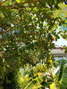 listing thumbnail image 12