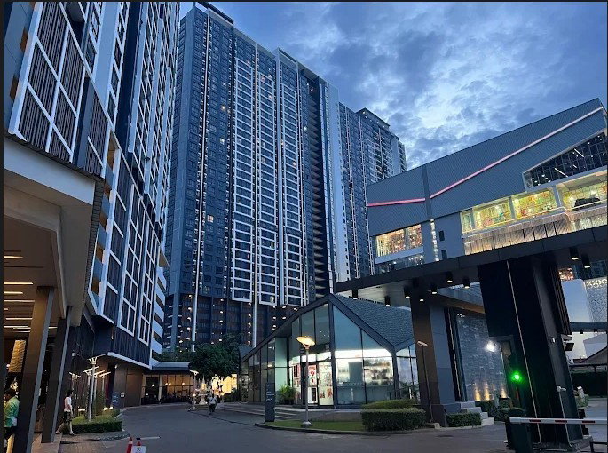 รูป S020005 The Tree Interchange - รูปที่ 1/4