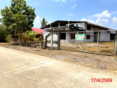 ขายโรงงาน : โกดัง 1200 ตร.วา ท่าศาลา นครศรีธรรมราช 3.6M