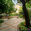 listing thumbnail image 12