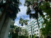 listing thumbnail image 11