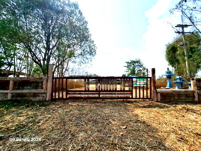 ขายโรงงาน : เพิงอเนกประสงค์ 2900 ตร.วา เชียงคำ พะเยา 3.8M