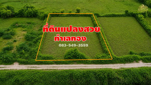 ขายที่ดิน 2ไร่ ใกล้ตลาดวังน้อยต.ลำตาเสา ทางขึ้นลงM6 ถูกมาก! ต่ำกว่าราคาประเมิน! อ.วังน้อย จ.อยุธยา