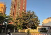 listing thumbnail image 0