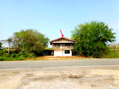 บ้านเดี่ยว นครราชสีมา (โคราช) : บ้านเดี่ยว 390 ตร.วา พระทองคำ นครราชสีมา 1.4M