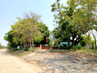 Houses for sale : HOME 1143 Sq.w. U Thong Suphanburi for 2.8M