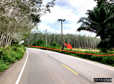 ขายที่ดิน : ที่ดินว่างเปล่า 4000 ตร.วา หลังสวน ชุมพร 6.5M