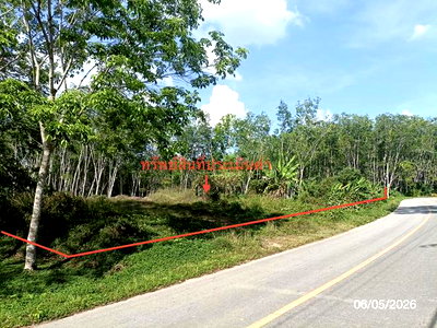 ขายที่ดิน : ที่ดินว่างเปล่า 3226.4 ตร.วา ห้วยยอด ตรัง 2.4M