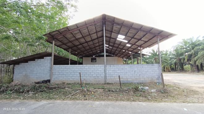 รูป โกดัง 1620.3 ตร.วา ห้วยยอด ตรัง 4.8M - รูปที่ 2/35